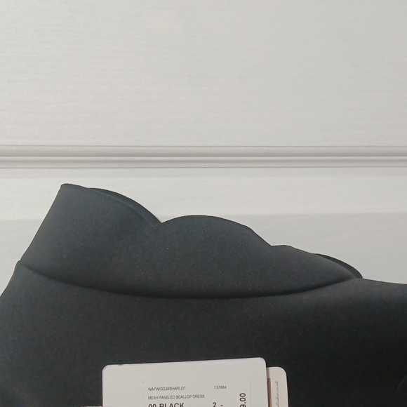 NWT Ted Baker London Mesh Paneled Scallop Dress - Picture 4 of 8